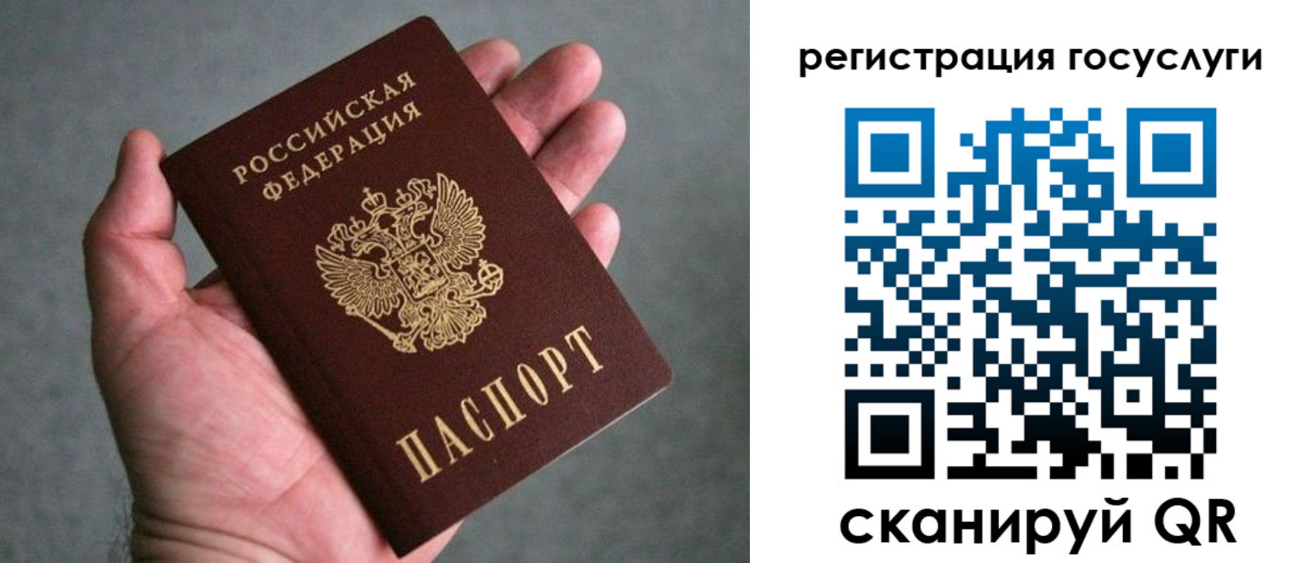 прописка поиск в Краснодарском крае